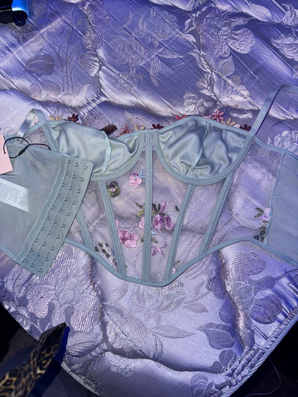 Sheer Embroidered Bustier Bra - Pale Mint